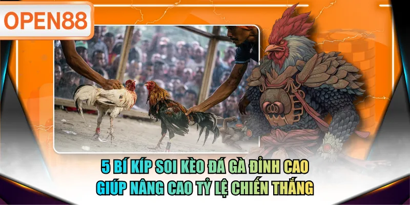 5 bí kíp soi kèo đá gà đỉnh cao giúp nâng cao tỷ lệ chiến thắng 5 bí kíp soi kèo đá gà đỉnh cao giúp nâng cao tỷ lệ chiến thắng