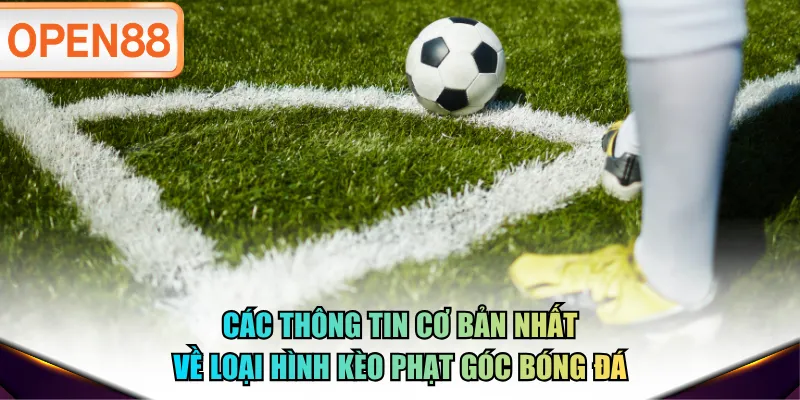 Các thông tin cơ bản nhất về loại hình kèo phạt góc bóng đá Các thông tin cơ bản nhất về loại hình kèo phạt góc bóng đá